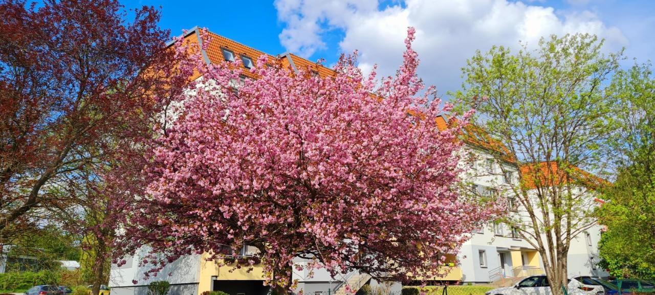 Moderne Wohlfuehlferienwohnung In Hildburghausen Buitenkant foto